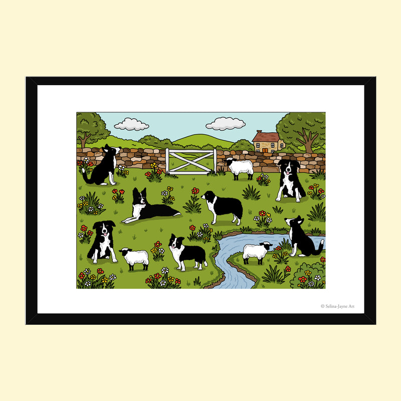 Border Collie Limited Edition Framed Fine Art Print by Selina-Jayne in Black Frame - Border Collies in Spring Meadow Giclée Wall Art