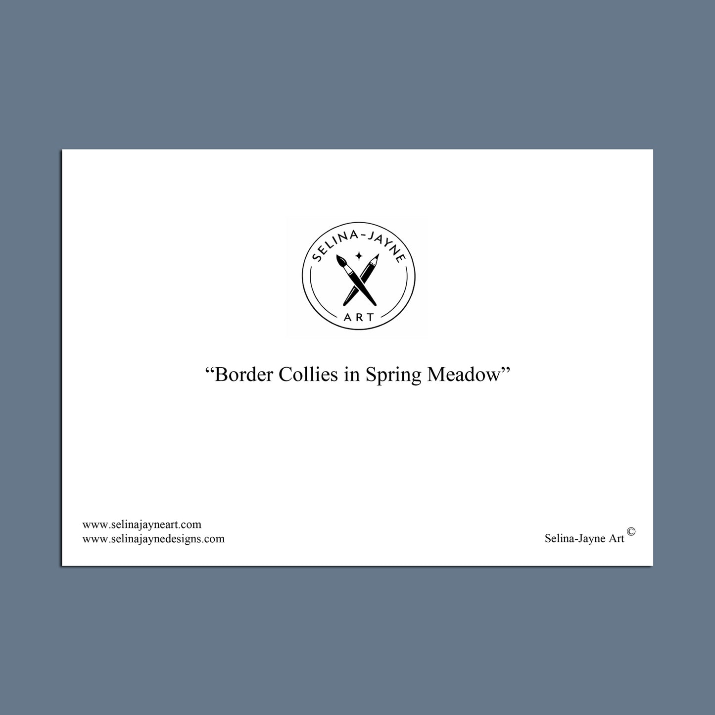 Card with 'Selina-Jayne Art' logo and text about border collies in a spring meadow on a white background.