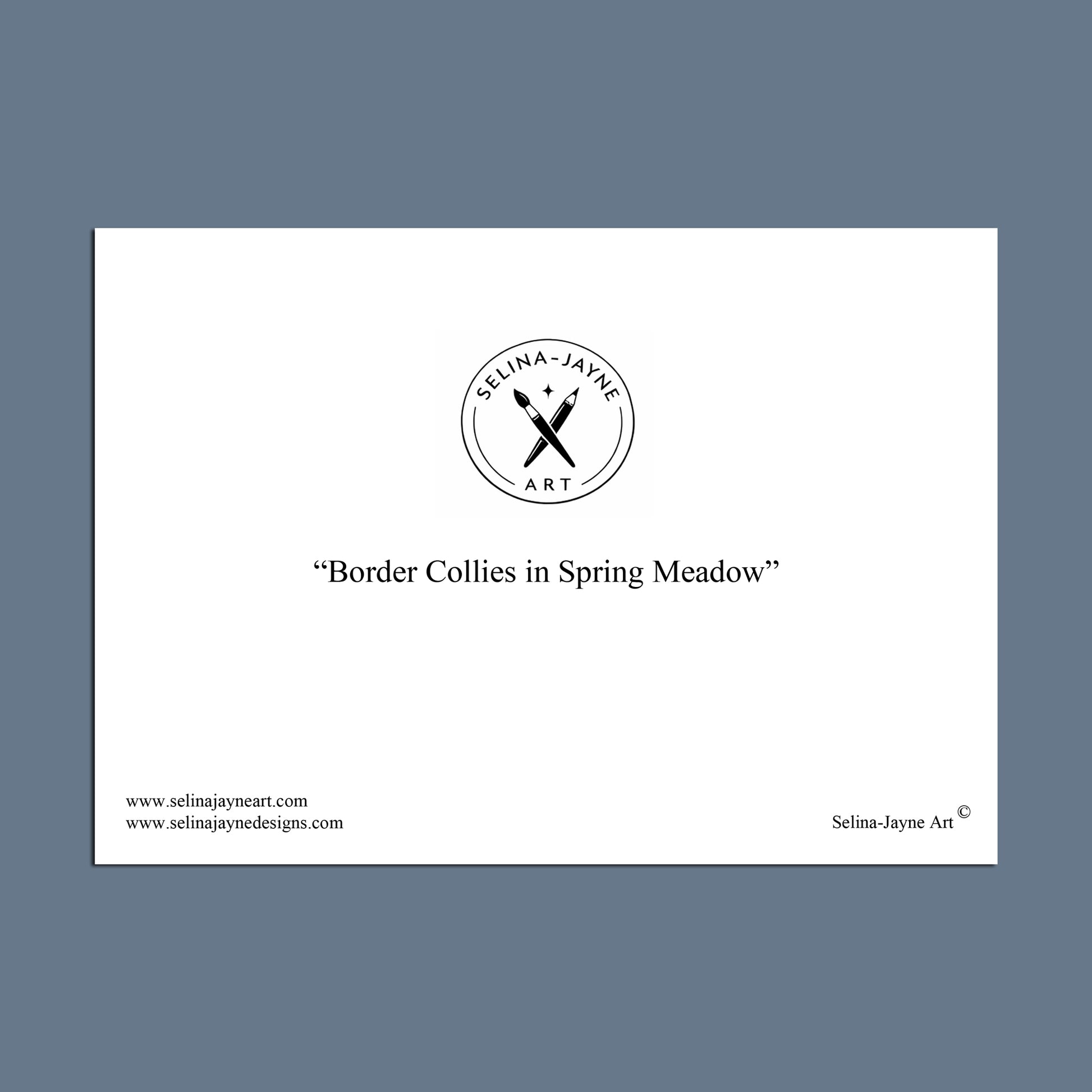 Card with 'Selina-Jayne Art' logo and text about border collies in a spring meadow on a white background.