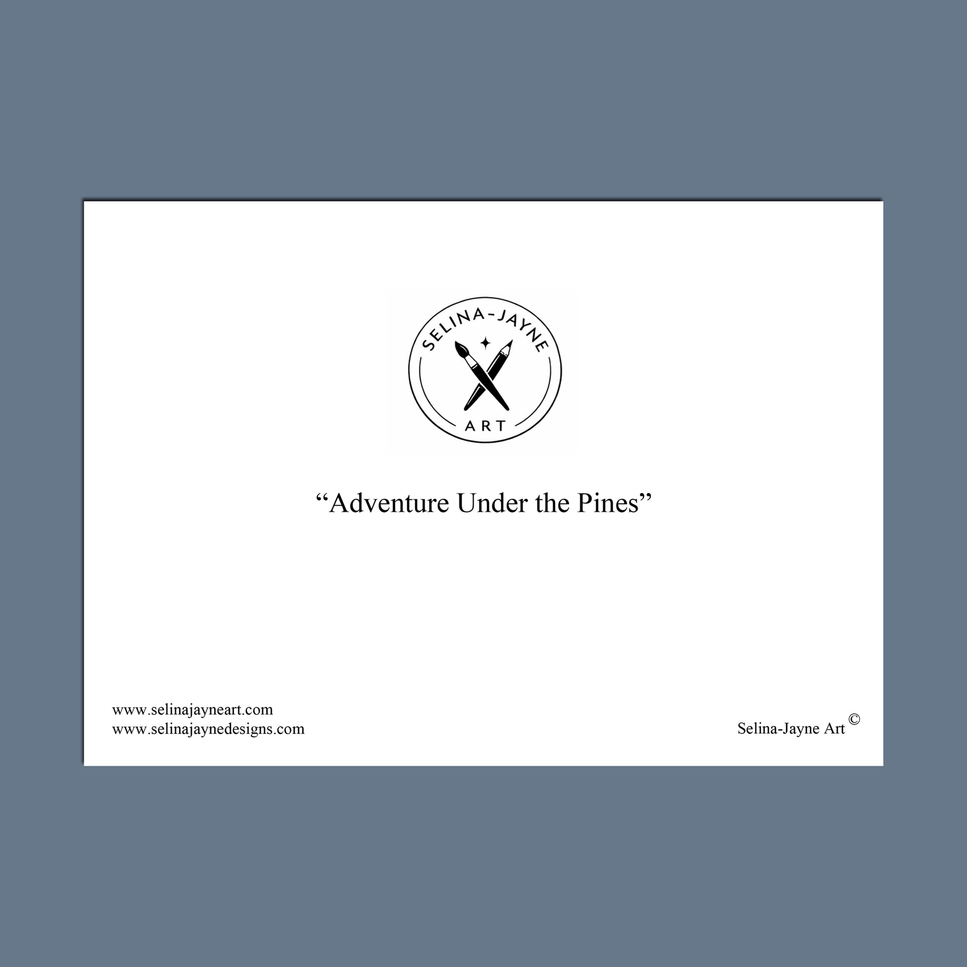 A minimalist art print featuring the text 'The Accountant's Office' centered on a white rectangular card, surrounded by a slate blue border. The design includes the Selina Jayne Art logo and website addresses in the corners.