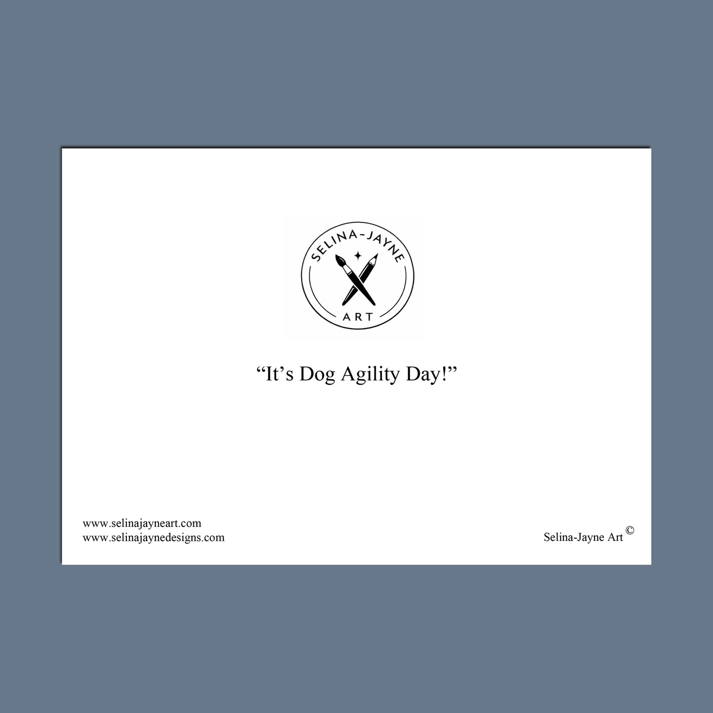 A minimalist art print featuring the text 'The Accountant's Office' centered on a white rectangular card, surrounded by a slate blue border. The design includes the Selina Jayne Art logo and website addresses in the corners.