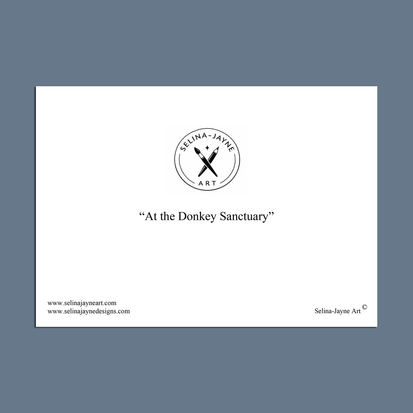 A minimalist art print preview featuring the text 'At the Donkey Sanctuary' centered on a white rectangular card, with the Selina Jayne Art logo above and website text along the bottom, set against a slate blue background.