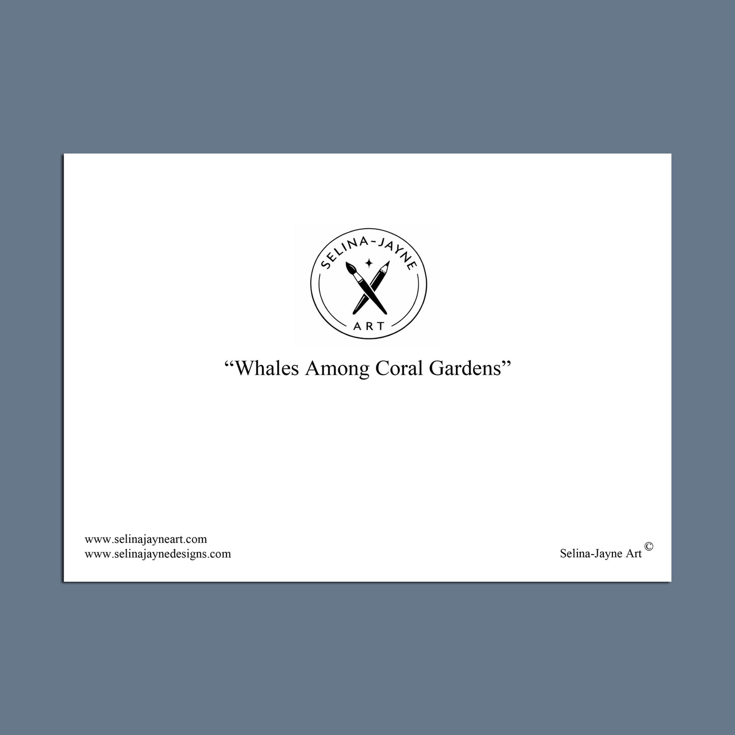 A minimalist art print featuring the text 'Curious Cats in the Kitchen' in black serif font, centered on a white rectangular card. The card is centered on a slate blue-gray background.